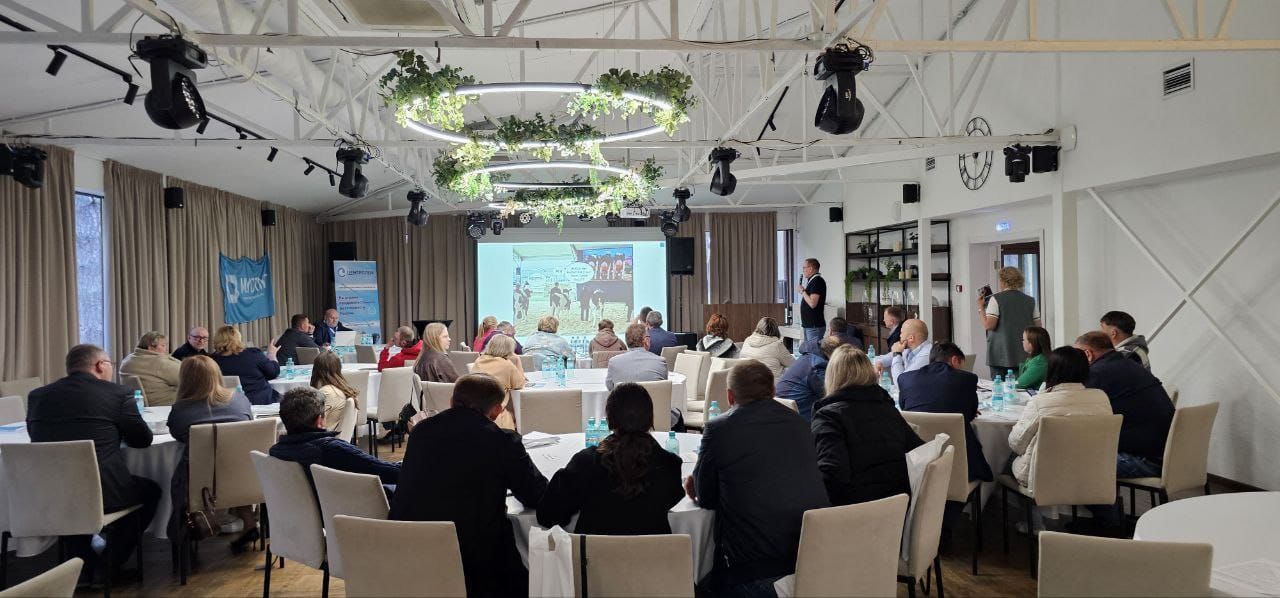 Коровий секрет долголетия: как генетика и кормление улучшают молочное стадо