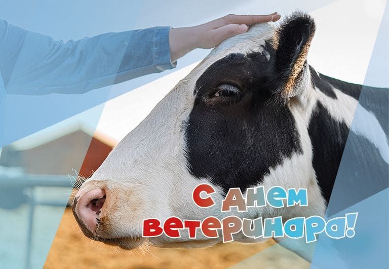 Поздравления для ветеринарных врачей