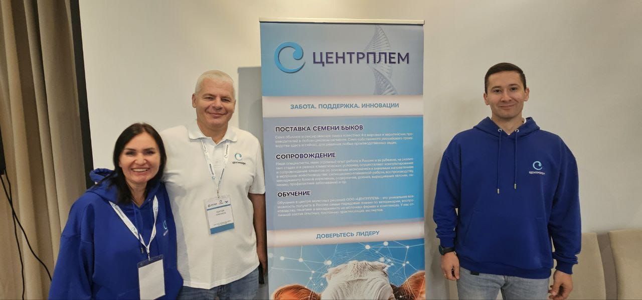 Коровий секрет долголетия: как генетика и кормление улучшают молочное стадо